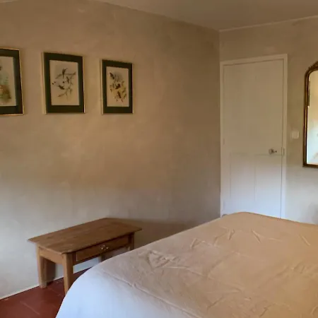 Ermitage Apartment
