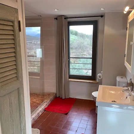 Ermitage Apartment